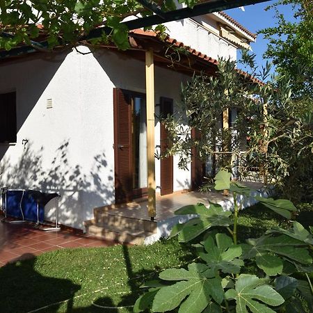 Beautiful Home By The Sea Palaiontsiflikion Exterior photo